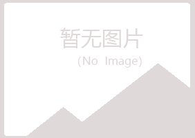 青岛黄岛错过咨询有限公司